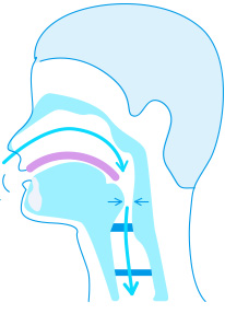 v2